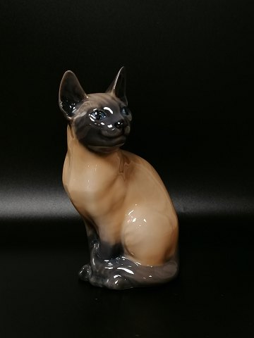 strand Lao dyr Kongelig porcelæns figur Siameser kat nr. 3281 - Kig-Ind Antik